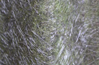 Botwnnog fibreglass roof work